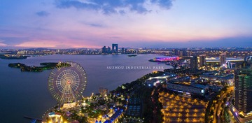 摩天轮夜景