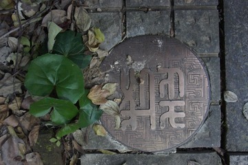 DSC07688