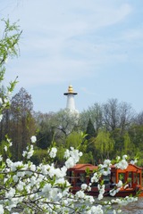 DSC08682-1
