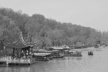 DSC08562-1