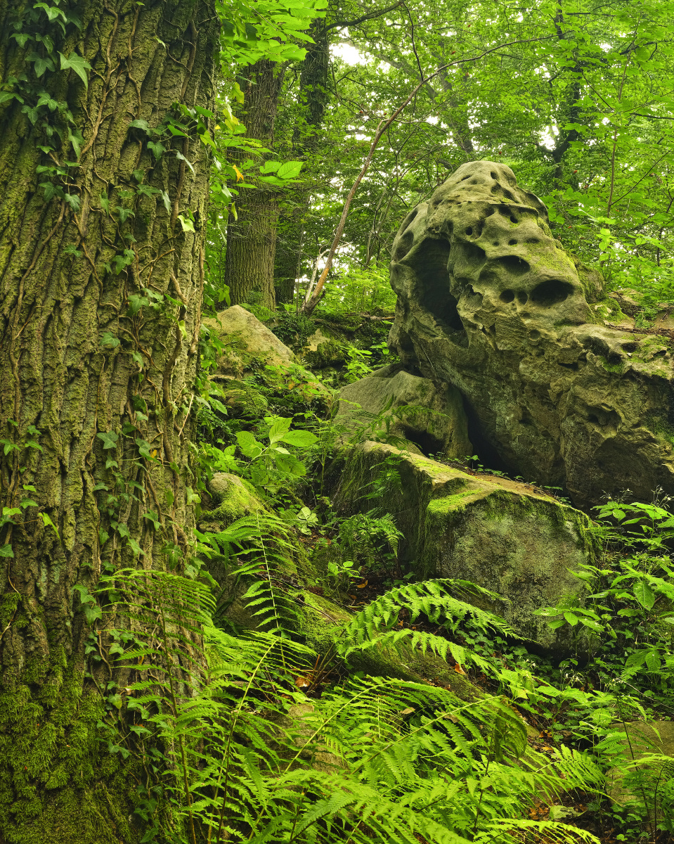雷州乌石天成台度假村沙滩午后时光