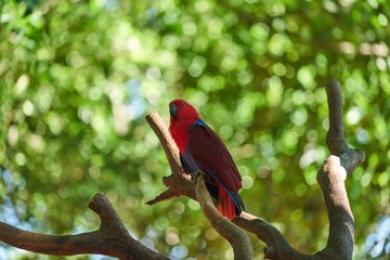 DSC05896_1