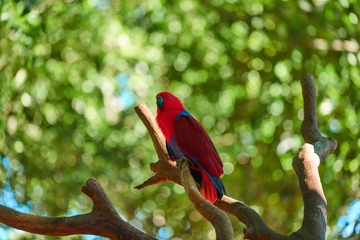 DSC05896_2