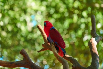 DSC05896_4