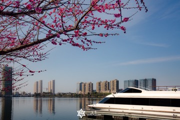 元宵快乐