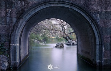 春天比往年迟一点