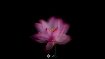 梦魇