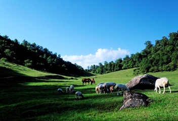 IMG_9382_DxO_