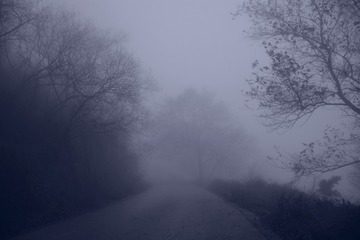 246454