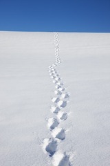 847258