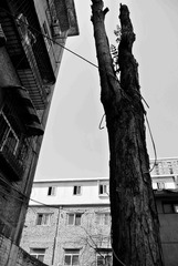DSC_5483_
