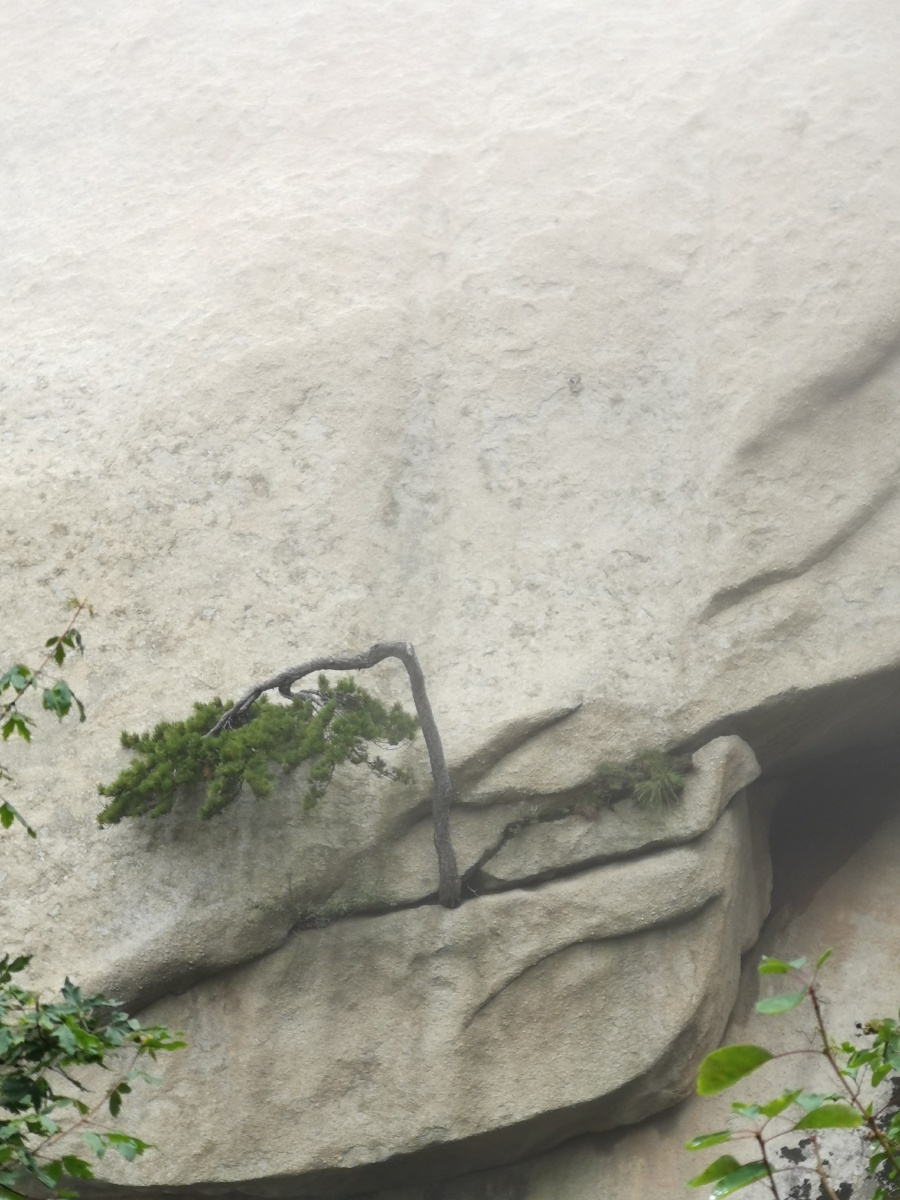 你那坚韧不拔的精神是我学习的榜样