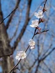 DSCF2150-2