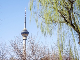 DSCF2283-2