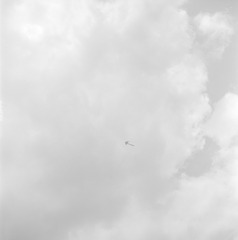SHGP3-094