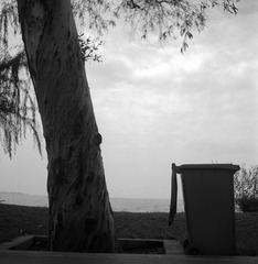 FP4_0099