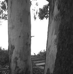 FP4_0089