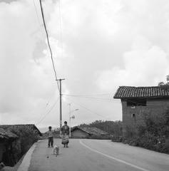 SH-0018