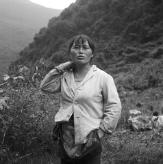 YNSC_Foma_0003