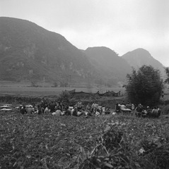 YNSC_Foma_0007