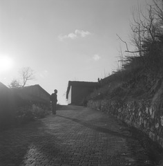 YNSC_GP3_034