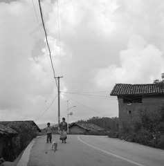 SH-0018