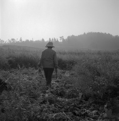 YNSC_GP3_0118