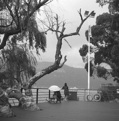 FP4_0141