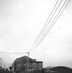 BSXJ_FP4_0073