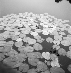 BSXJ_FP4_0064
