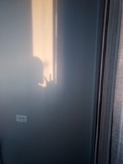 562480