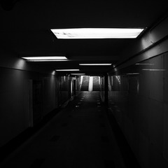 2044438