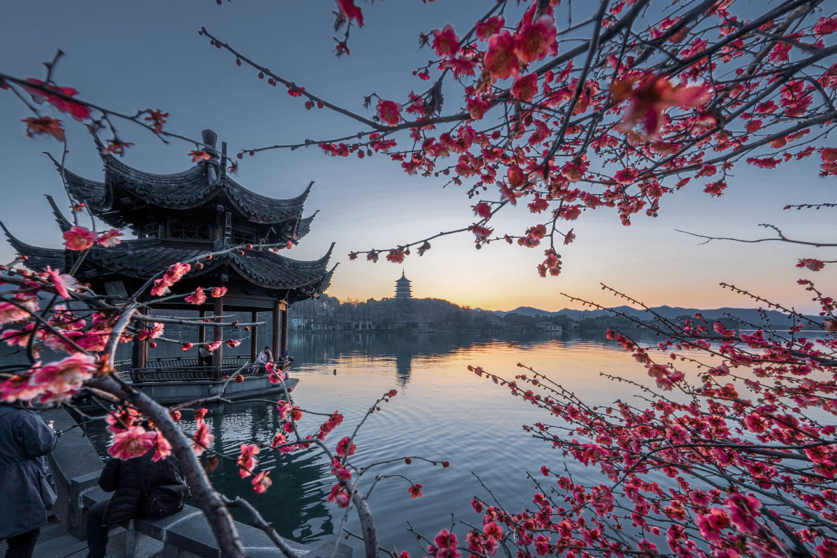 雷峰春回长桥梅开