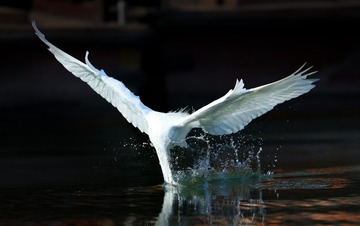 1540724