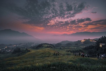 263651
