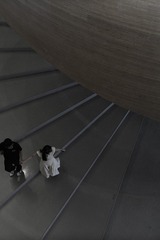 1000051631