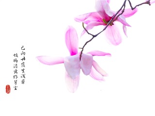 19F1614F-D781-4D57-B9F7-4A2F196F4B81/L0/001