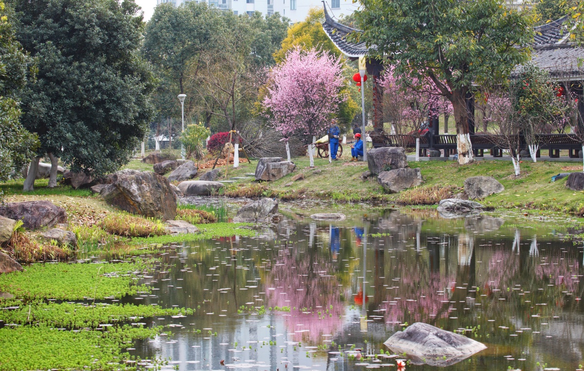 公园一角 - 鹤鸣九皋1 - 图虫