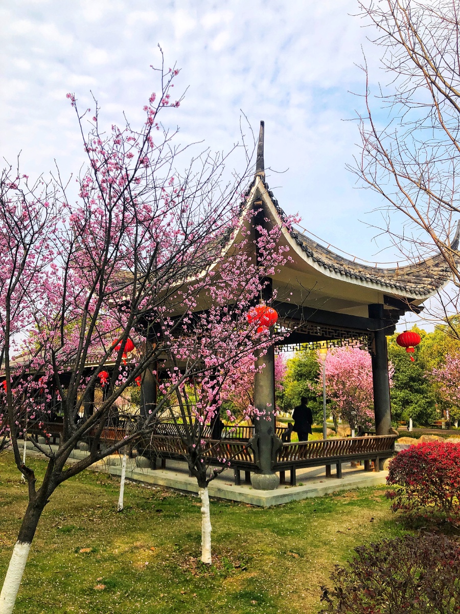 公园一角 - 鹤鸣九皋1 - 图虫