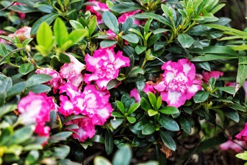 2CC493DA-79CA-4EB5-988A-346397E93B33/L0/001