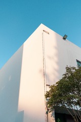 1000088046