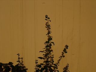 1092028