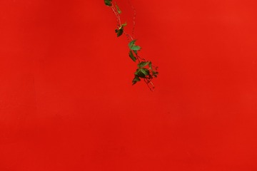 1206457