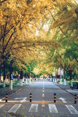 2016-10-29 10.24.08 1