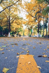 2016-10-29 10.24.54 1