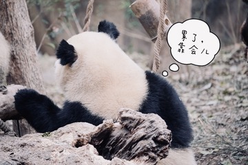 9282356D-AE58-49F8-A928-F07A8981ED7A/L0/001