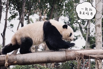 6E98BDFB-B9F2-4C52-BCD3-D8753B45B5C4/L0/001