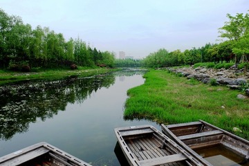 DSCF0708_