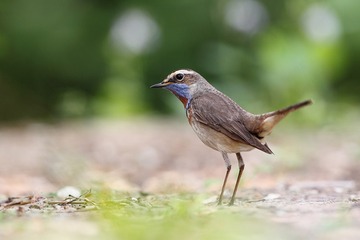 HAO_0851 (2)