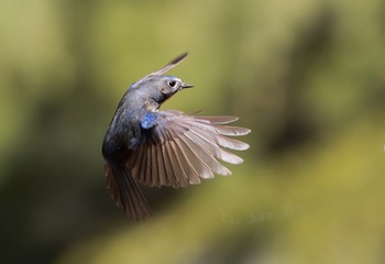 HJM_5658